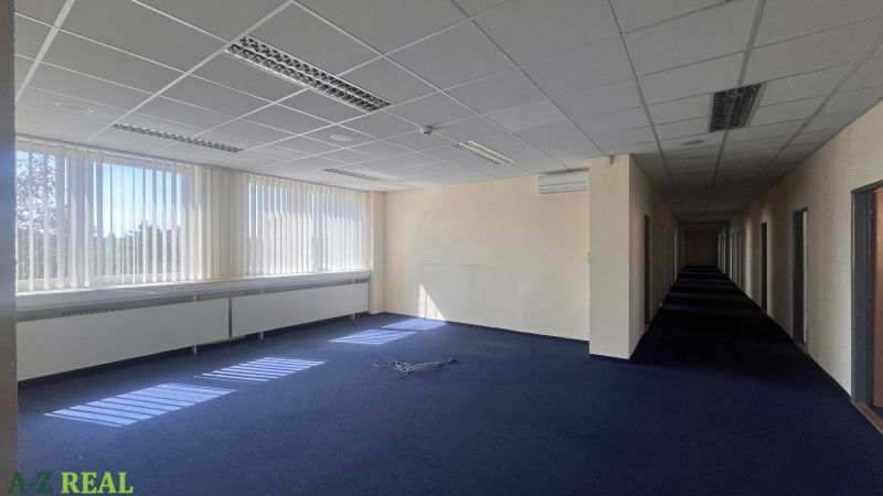 Prenájom kancelárskych priestorov  Drieňová ul., 209 m2 - 600 m2 - Kancelárie s modrým kobercom, veľkými oknami a podhľadovým stropom na Drieňovej ulici.