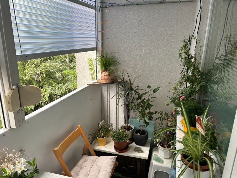 NA PREDAJ PRIESTRANNÝ 3-IZBOVÝ BYT | 67 m² | LODŽIA | 4. POSCHODIE - Zátišie balkóna 3-izbového bytu s rastlinami a drevenou stoličkou.