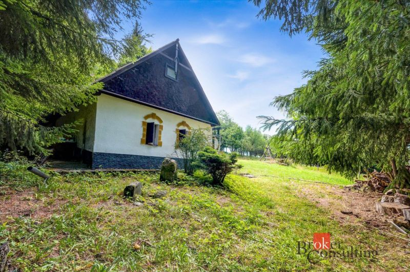Chata na samote na predaj, Píla, Žarnovica - Chata v Píle obklopená zeleňou a ihličnatými stromami, ideálna na relax.
