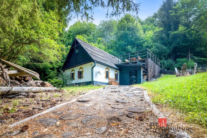 Chata na samote na predaj, Píla, Žarnovica - Chata v Píle obklopená hustými lesmi, kamenný chodník vedie k vchodu.