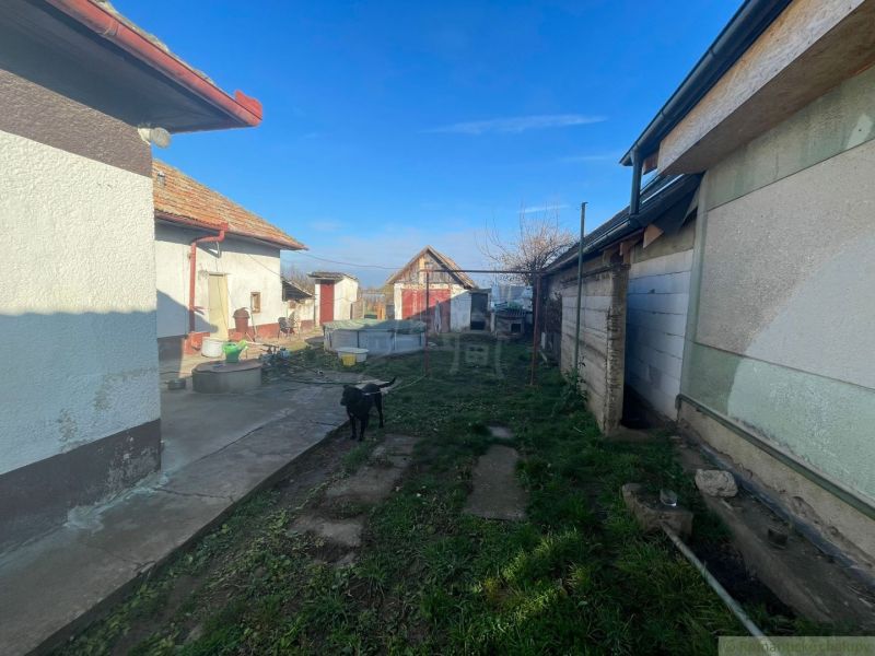 Útulný trojizbový domček vhodný na chalupu v tichej, okrajovej časti T - Dvor rodinného domu v Tvrdošovciach s trávnikom, psom a hospodárskymi budovami.