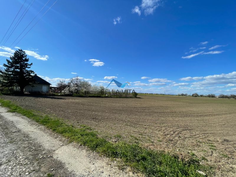 Atraktívny stavebný pozemok v Košútoch, 2470 m2, výhodná cena - Pozemky - bývanie v Košútoch na ulici Košúty, rozsiahle pole a vidiecka krajina.
