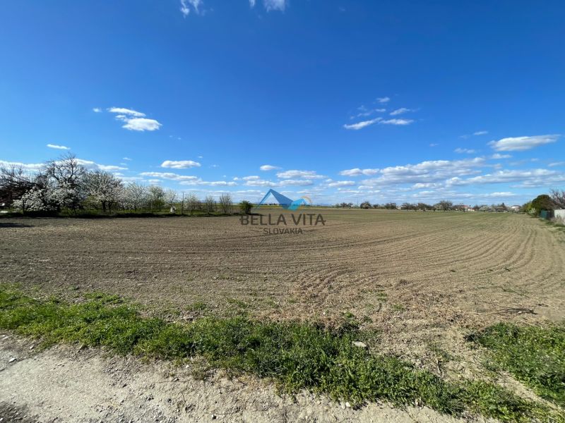 Atraktívny stavebný pozemok v Košútoch, 2470 m2, výhodná cena - Rozľahlá parcela na výstavbu v Košútoch, Košúty, vhodná pre pozemky - bývanie.