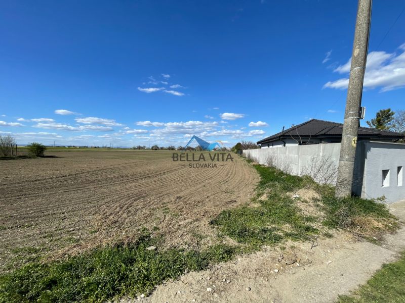 Atraktívny stavebný pozemok v Košútoch, 2470 m2, výhodná cena - Pozemky - bývanie v Košútoch na ulici Košúty, vedľa oranej pôdy a oploteného domu.