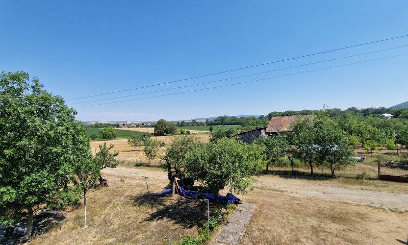Na predaj dvojpodlažný rodinný dom v obci Kazimír, okres Trebišov - Krajina v okolí rodinného domu na ulici Biela v Kazimíri s ovocnými stromami.