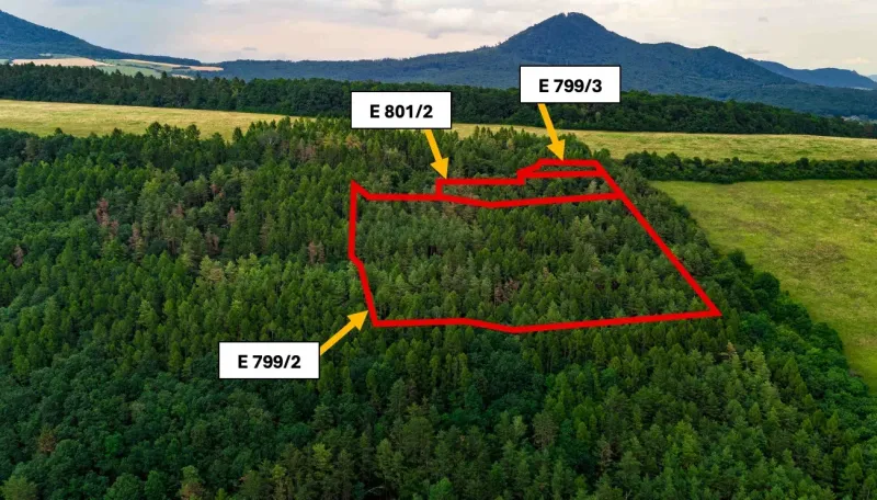 Veľký Šariš – 6.409 m2 LESNÉ pozemky – Predaj