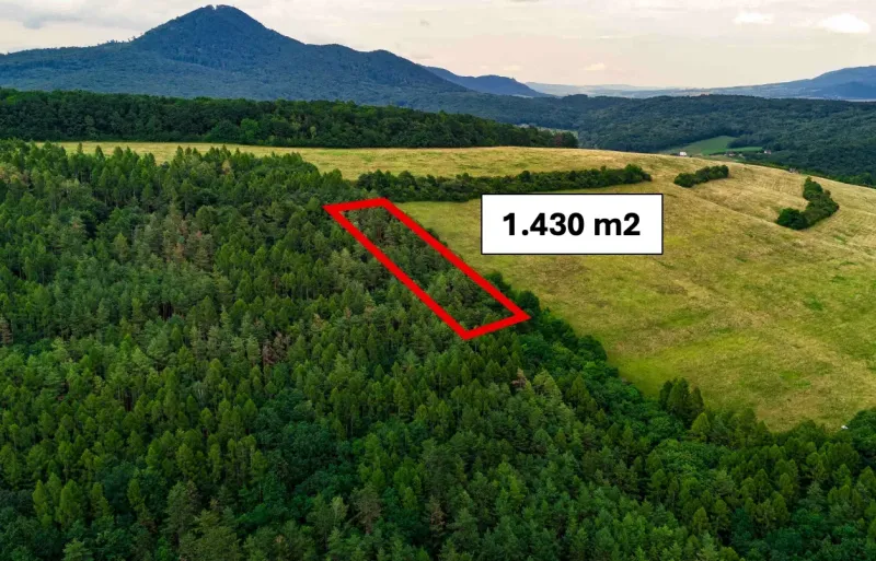 Veľký Šariš – 1.430 m2 LES v podiele 1/1 – Predaj