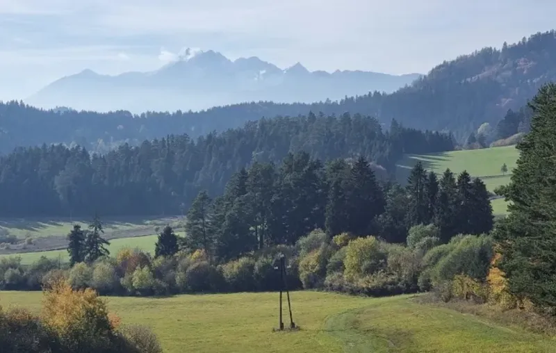Vyšné Ružbachy, Kamienka - 5.067 m2 LESY – Predaj