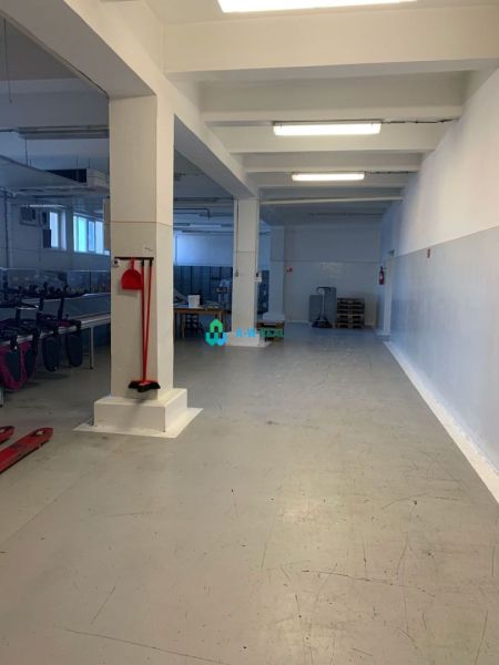 Výrobné a skladové priestory na prenájom. - Výrobné priestory so stĺpmi, bielymi stenami a priemyselnou podlahou.