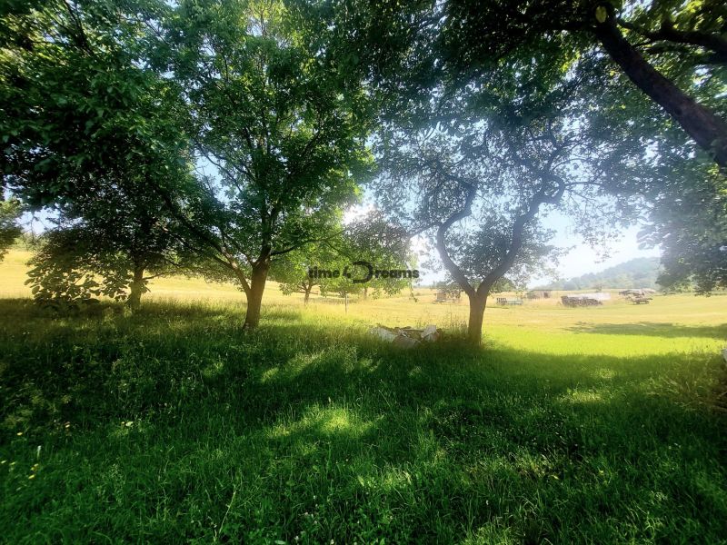  NA PREDAJ Priestranný rodinný dom s farmou  Detva - Záhrada rodinného domu v Detve so stromami a zeleným trávnikom.