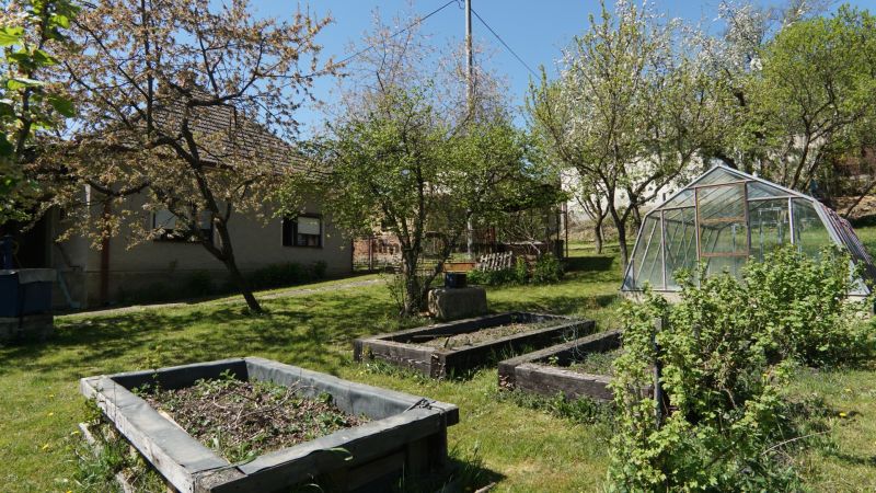 NA PREDAJ – chalupa alebo rodinný dom na pokojné bývanie  - Záhrada v Krajnom s rodinným domom, vyvýšenými záhonmi a skleníkom.
