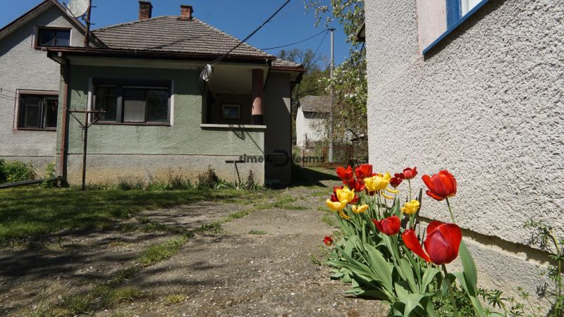 NA PREDAJ – chalupa alebo rodinný dom na pokojné bývanie  - Rodinný dom v Krajnom so záhradou a červenými a žltými tulipánmi na jar.