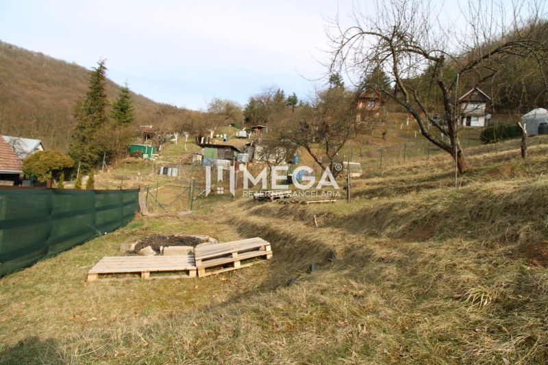 NA PREDAJ pozemok 800m2 v ZO Poniklec pri meste Humenné - Záhrady na ulici ZO Poniklec v Humennom s viacerými stromami a drevenými paletami.