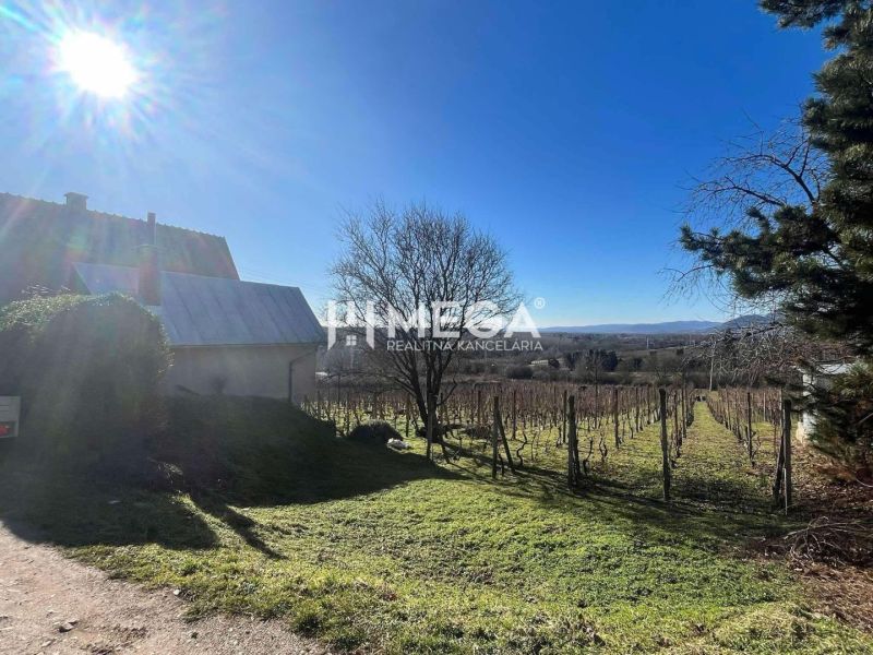 Na predaj chata s vinicou a 2 pivnicami, obec Viničky-Zajačí skok, okr - Slnečný deň v obci Viničky s rodinným domom a vinicou na ulici Viničky.