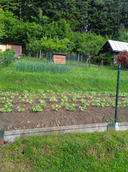 Na predaj: Slnečná záhrada v Čadci – časť Bukov (333 m²)