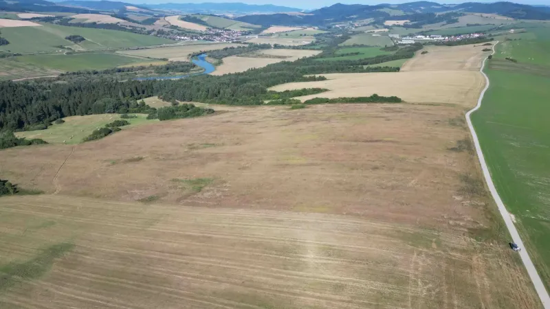 Plaveč – 12.564 m2 POĽNOHOSPODÁRSKA pôda a LES - Predaj