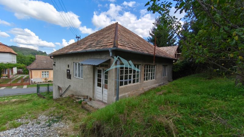 Znížená cena!!! Vidiecky dom v obci Olováry v okrese Veľký Krtíš. - Rodinný dom v Olovároch so šikmou strechou, obklopený záhradou a zelenými stromami.
