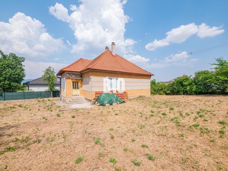 Rodinný DOM priamo v Nitre / bývanie alebo podnikanie? - Rodinný dom v Nitre s červenou strechou obklopený veľkým dvorom a zeleňou.