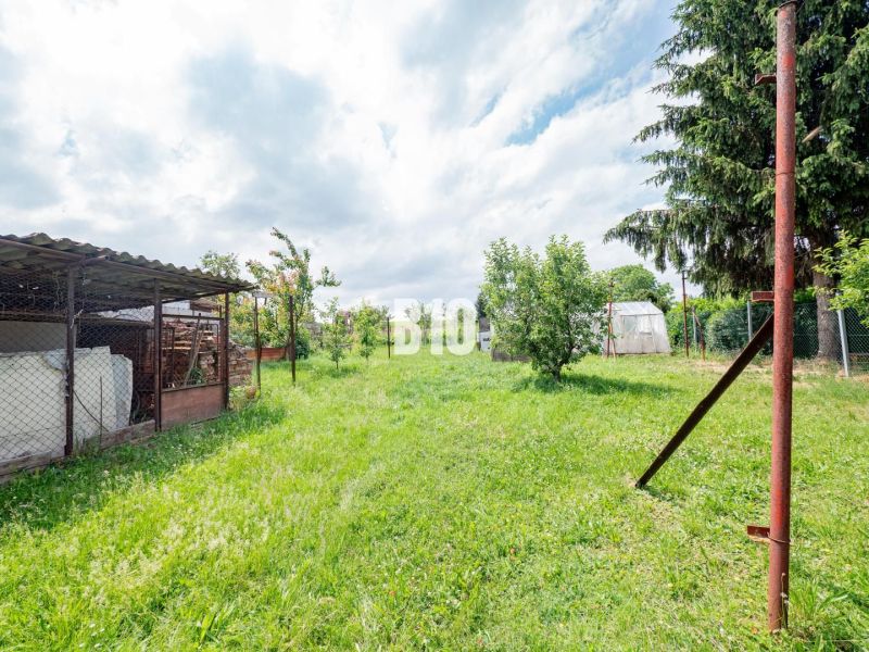 DOM, 1439 m2 pozemkom - Zbehy, Nitra (investičný potenciál) - Trávnatá záhrada pri rodinnom dome v Nitre so stromami a kôlňou.