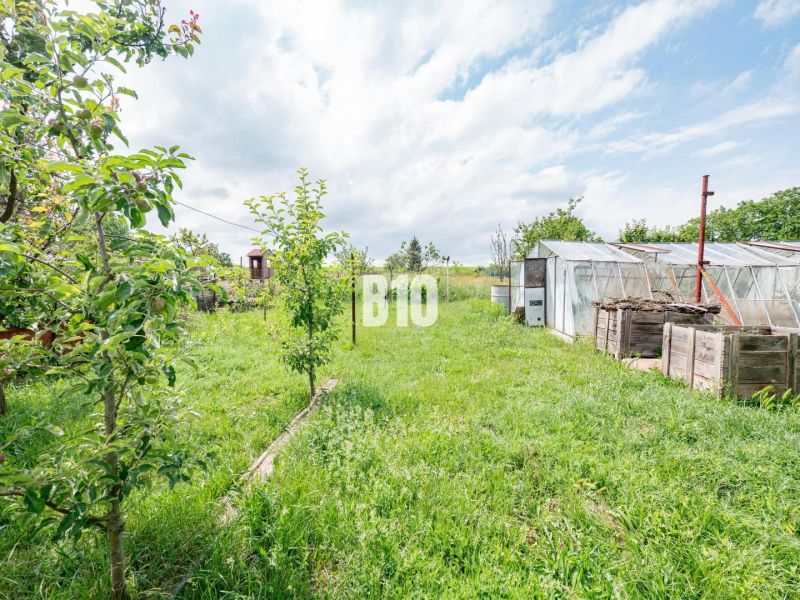 DOM, 1439 m2 pozemkom - Zbehy, Nitra (investičný potenciál) - Záhrada rodinného domu v Nitre s ovocnými stromami a skleníkmi.