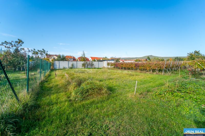 Veľký STAVEBNÝ POZEMOK v centre PEZINKA so zrekonštruovaným domom - Pozemok na bývanie v Pezinku na Kupeckého ulici, s výhľadom na vinice.