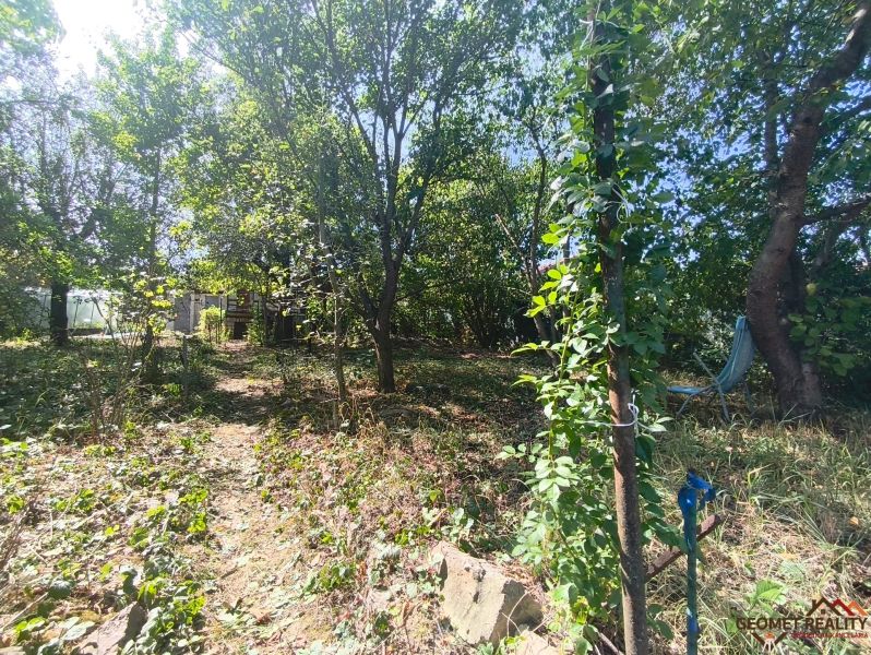 Oáza pokoja a vlastná úroda: Murovaná chatka (17 m²) so záhradou 690 m - Záhrady v Lučenci plné zelených stromov a kríkov pod slnečnou oblohou.