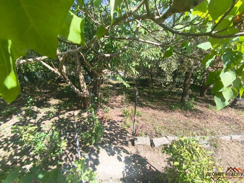 Oáza pokoja a vlastná úroda: Murovaná chatka (17 m²) so záhradou 690 m - Záhrady v Lučenci s bujnou vegetáciou a tienistými zákutiami medzi stromami.