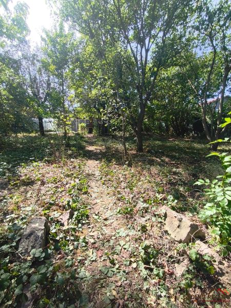 Oáza pokoja a vlastná úroda: Murovaná chatka (17 m²) so záhradou 690 m - Zeleň v záhradách Lučenca s lesnou cestou a vysokými stromami.
