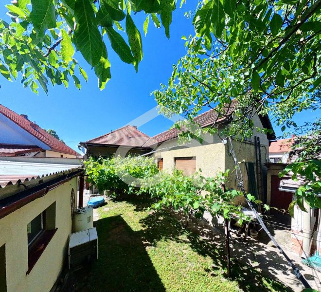 Predaj 5-izbového domu s množstvom zelene! - Rodinný dom na Sládkovičovej 135 v Zlatých Moravciach s zeleným dvorom a vinicou.