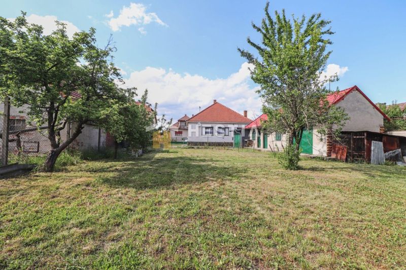 Rodinný dom Borský Mikuláš - Pozemok pri rodinnom dome v Borskom Mikuláši s trávnikom a ovocnými stromami.