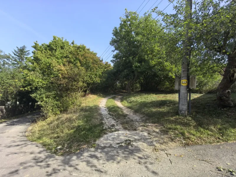Kolačno – 90 m2 INVESTIČNÝ pozemok v obci - Predaj - Viditeľný rozvetvený chodník v záhradách Kolačna obklopený zeleňou a elektrickým stĺpom.