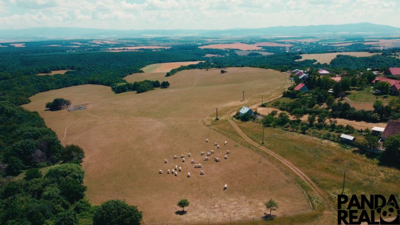 POZEMOK NA VÝSTAVBU PODHRADIE - Krajina v Podhradí s pastvinami a ovcami na predaj, vhodná na Pozemky - bývanie.