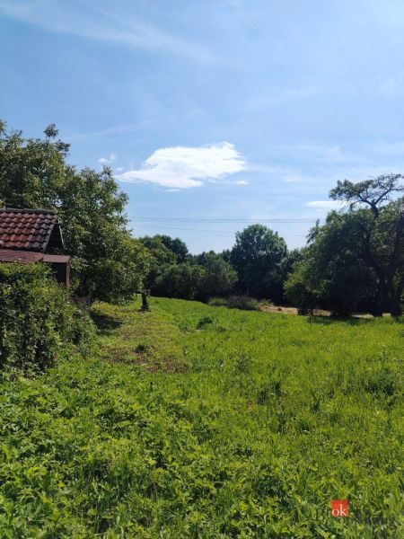 Na predaj pozemok pri Prešove - Zelené pozemky na bývanie v Žehni obklopené stromami a modrou oblohou.