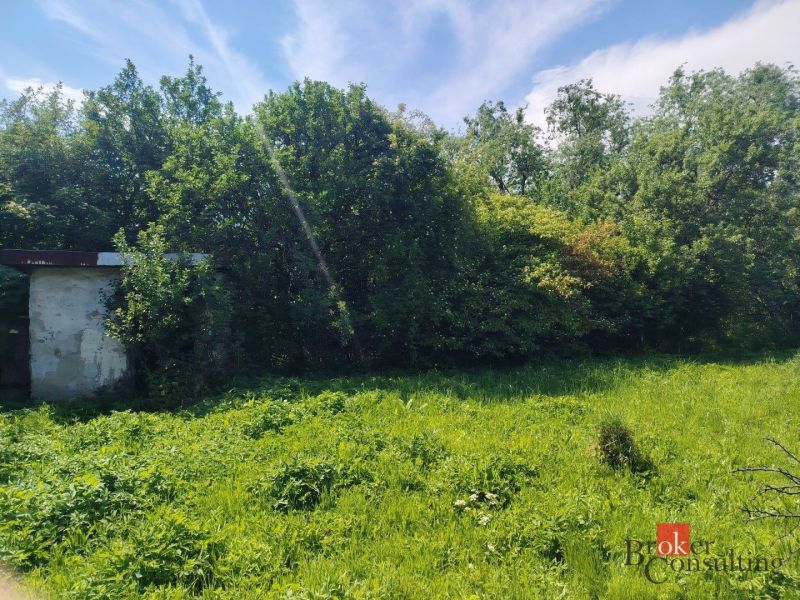 Na predaj pozemok pri Prešove - Pozemky - bývanie v Žehni s hustou zeleňou a starou stavbou.