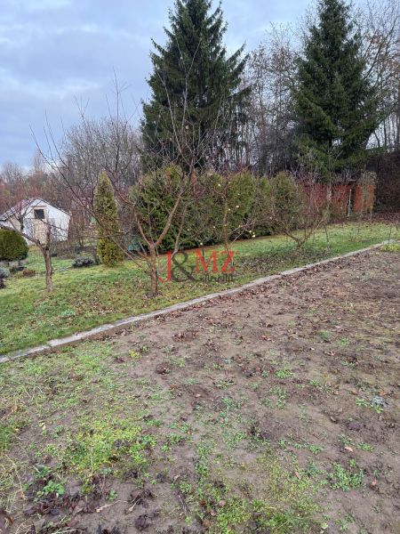 Záhrada Levice - Podhradie 311m2 - Záhrada na Podhradí v Leviciach s ovocnými stromami a ihličnany. Jesenné lístie na zemi.