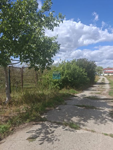 Na predaj rovinatý pozemok v priemyselnej časti Holíča. - Cesta medzi zeleňou v Holíči, ideálna pre Pozemky - komerčné využívanie.