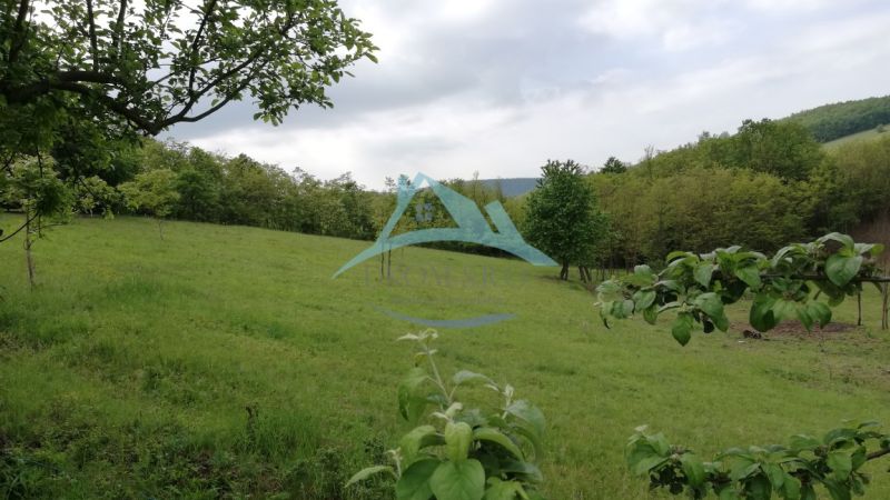 Dva vidiecke domy na pozemku 1,6ha D. Strehová (Prieloh), V. Krtíš. - Rozľahlý zelený trávnatý pozemok s ovocnými stromami obklopený lesom.