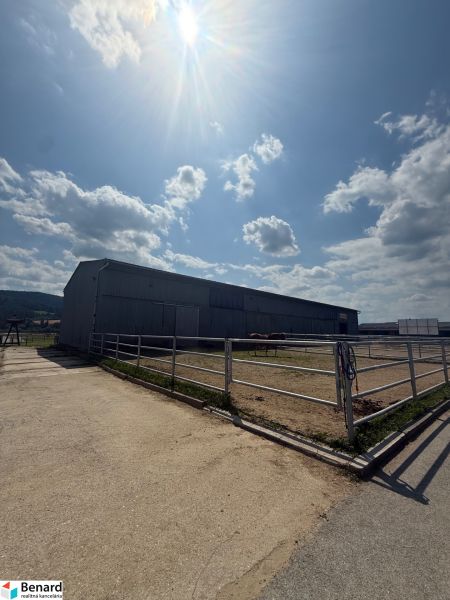 Plechová Hala na predaj Hniezdne - Budova v Hniezdnom, oplotený priestor s koňmi, slnečná obloha, mierne oblačno.
