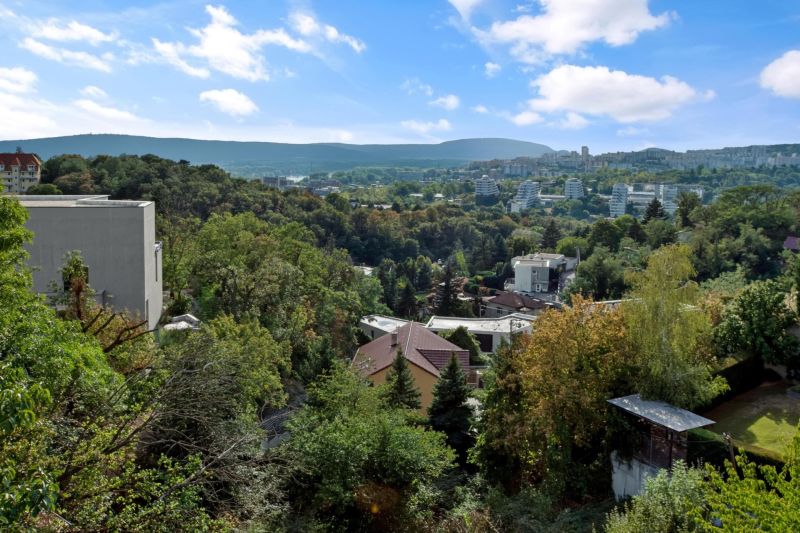 I PREDAJ Výnimočný 5izb. byt s veľkorysou terasou,Staré Mesto - Výhľad na zalesnené oblasti a budovy v Bratislava - Staré Mesto z ulice Bartókova.