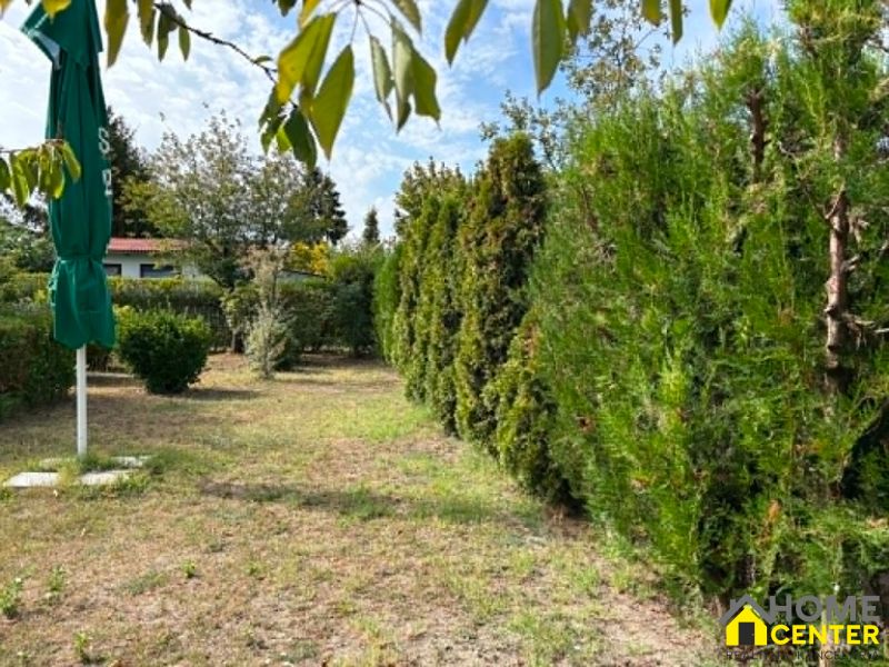NA PREDAJ záhrada /480 m2/v mestskej časti Nová Osada, Komárno - Záhrady v Komárne s ihličnanmi a piesočnatou trávou, zelený slnečník bokom.