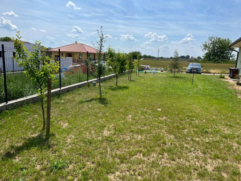 Novostavba 5 izbového rodinného domu v Jarku - Záhrada rodinného domu v Jarku s trávou a stromami za slnečného dňa.