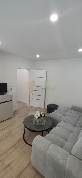 Novozrekonštruovaný 3-izb. byt, A. Gwerkovej, Petržalka - Ovsište - Obývacia izba s podlahou s dreveným dekorom, šedou sedačkou a konferenčným stolíkom v 3-izbovom byte.