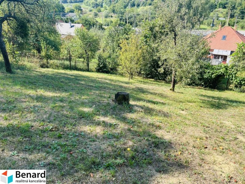 RD NA BÝVANIE AJ PODNIKANIE,1630m2,  SABINOVSKÁ Ul., PREŠOV - Záhrada pri rodinnom dome na Sabinovskej ulici v Prešove s ovocnými stromami.