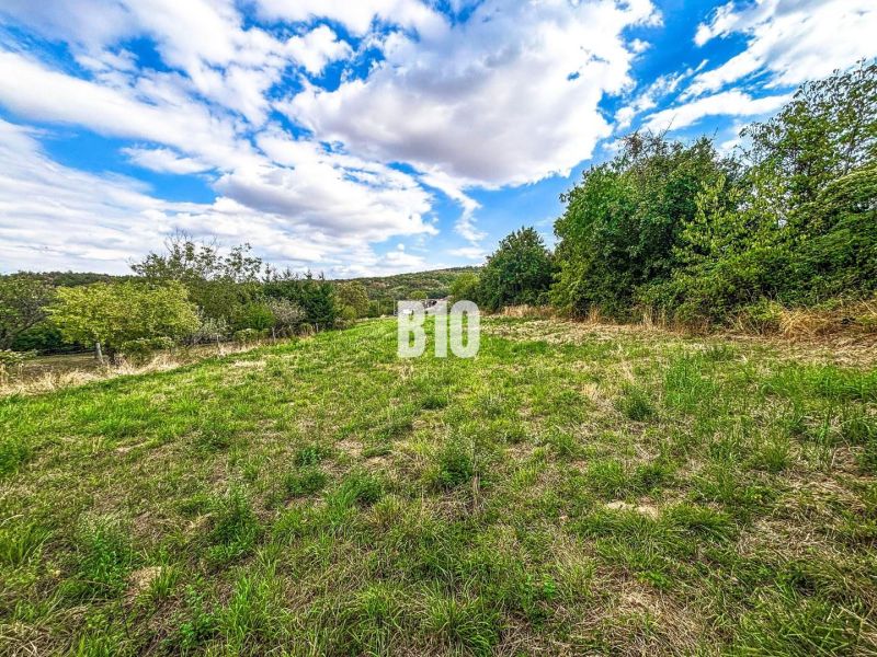 Na predaj pozemok v Kolíňanoch – 2 700 m² - Pozemky - bývanie v Kolíňanoch, zelená lúka obklopená stromami a modrou oblohou.