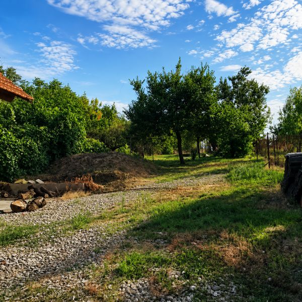 Na predaj zrekonštruovaný 4-izbový rodinný dom v Šalgočke  - Záhrada pri rodinnom dome v Šalgočke, s trávou a ovocnými stromami.