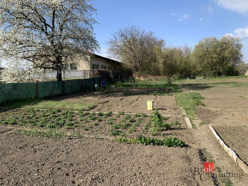 Krásny 1 izbový byt  45m2 + garáž - Záhrada s rozkvitnutým stromom na Železničnej ulici v Šahách.