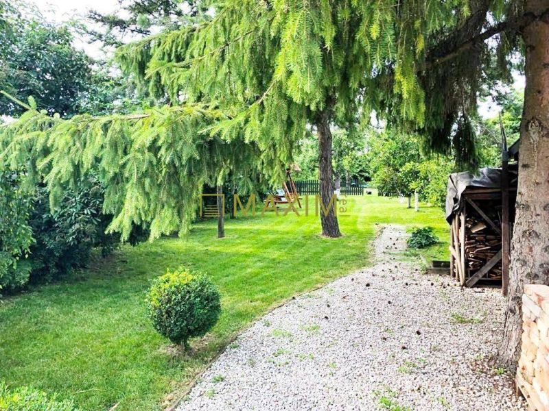 TOP - Okúzlujúci dom, zariadený vo vintage štýle s jedinečným pozemkom - Záhrada rodinného domu v Plaveckom Štvrtku s ihličnanmi a štrkovou cestičkou.