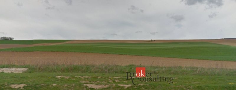 Na predaj pozemky, Lužianky, 60 €/m2 - Rozľahlé zelené polia v Lužiankach, vhodné pre pozemky - bývanie.