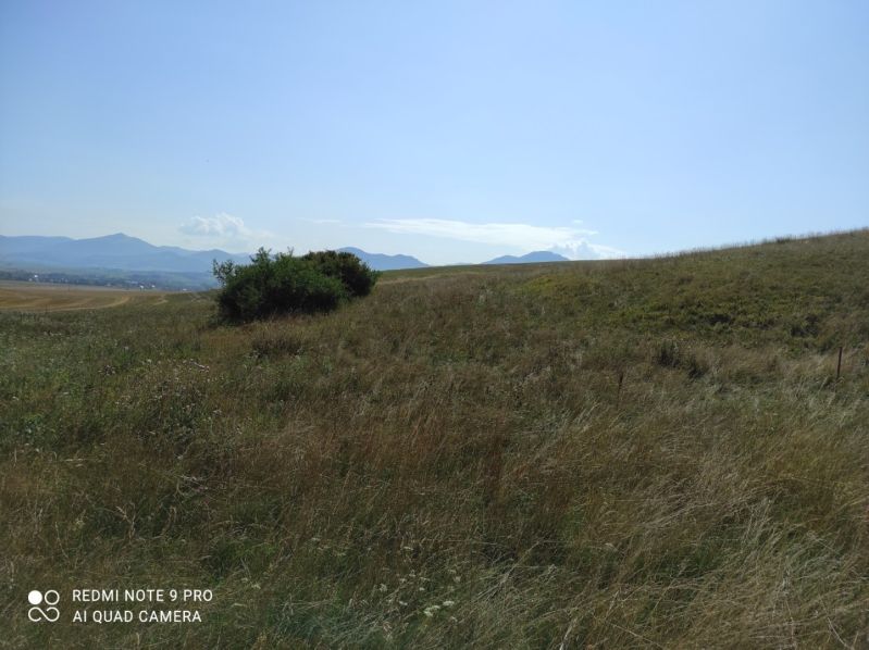 VALČA pozemok s výmerou 5800 m2,  okr. Martin  - Krajina s trávou a kríkmi, rekreačné pozemky s horským pozadím a jasná obloha.
