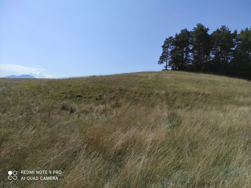 VALČA pozemok s výmerou 5800 m2,  okr. Martin  - Krajina so zelenými lúkami, stromami a modrou oblohou. Vhodné pre rekreačné pozemky.